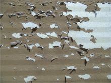Cladding adhesion anti corrosion